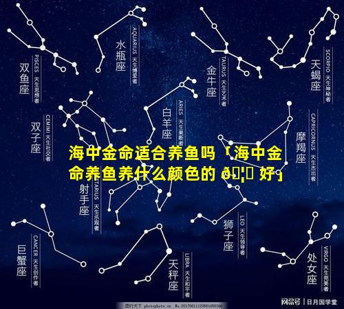 海中金命适合养鱼吗「海中金命养鱼养什么颜色的 🦊 好」